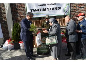 21 Mart Dünya Ormancılık Günü