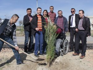 Beypazarı'nda öğrenciler fidan dikti