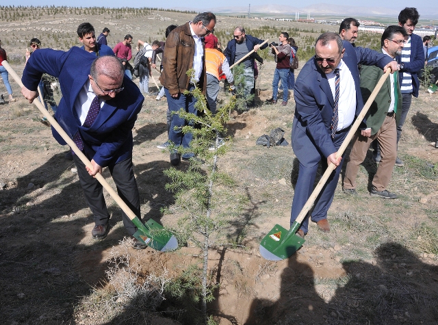 Selçuk’ta, Afrin Şehitleri Anısına Fidan Dikildi