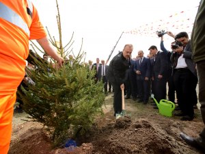 6 milyon fidan toprakla buluştu