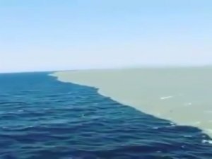 Pasifik çöp girdabında biriken plastik miktarı tahminlerin ötesinde