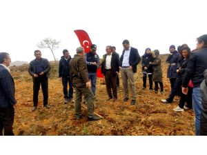 Seydişehir’de sağlık çalışanları fidan dikti