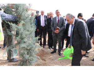"Mutlaka sözleşmeli tarıma geçmemiz lazım"