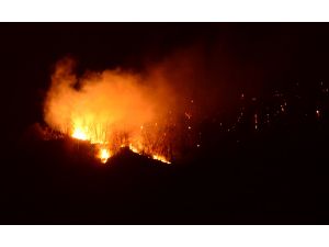 Giresun'da orman yangınları