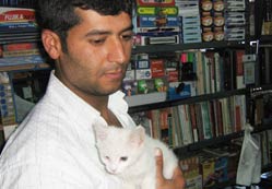 Kadınhanı’nda Van kedisine rağ