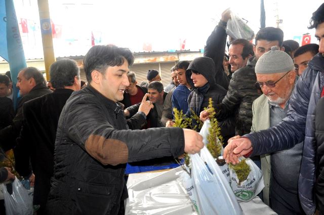 Seydişehir'de 9 Bin Fidan Dağıtıldı