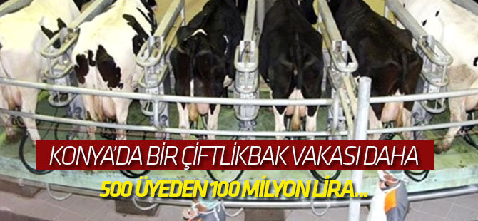 Konya'da bir çiftlikbank vakası daha