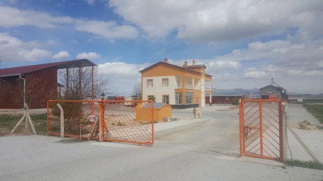 Karapınar'daki Sütbank'tan üyelerine 'İnekler telef oldu' mesajı