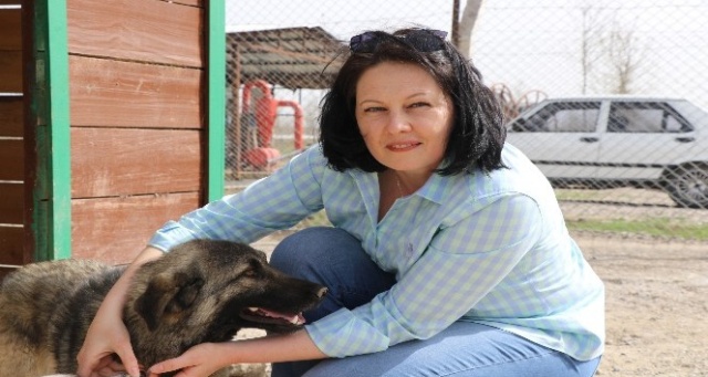 Sokak hayvanlarına Rus gelin şefkati