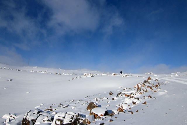 Fotoğraf tutkunları karda mahsur kaldı