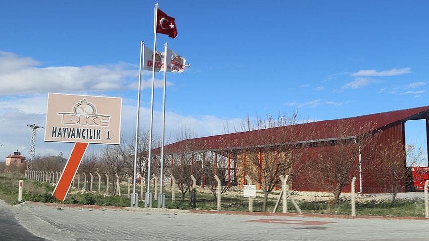 Sütbank'ta mağdurları çağırıp yemek yediriyorlar