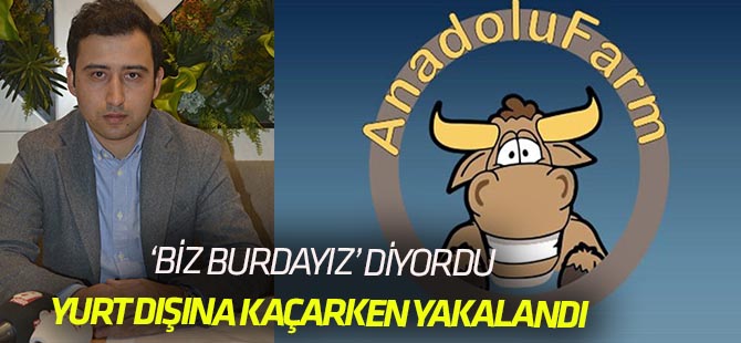 'Biz burdayız' diyen Anadolu Farm'ın kurucusu, yurt dışına kaçmak isterken yakalandı