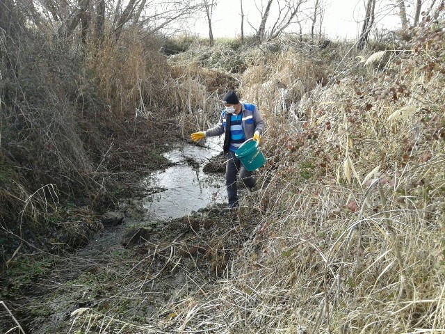 Beyşehir’de larvayla mücadele çalışmaları sürüyor