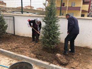 Öğrenciler fidan dikti