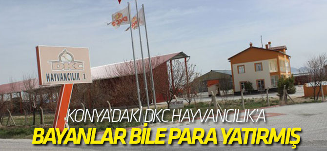 "Altınlarını bozdurup süt bankacılığına yatıran ev hanımları var"