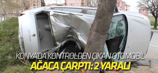 Kontrolden Çıkan Otomobil Ağaca Çarptı: 2 Yaralı