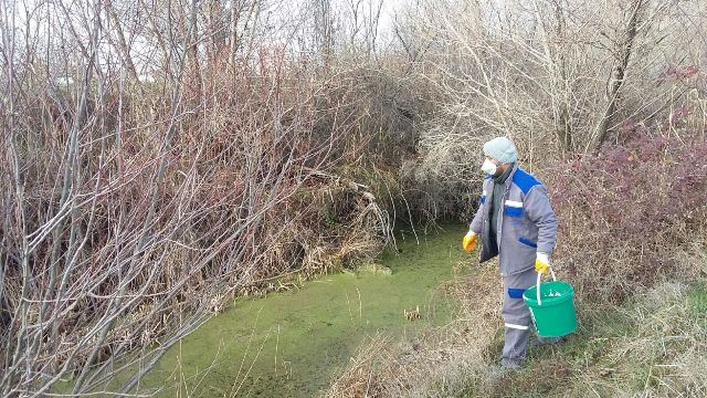 Beyşehir'de sinekle mücadele başlatıldı