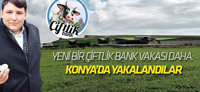 Yeni Bir Çiftlik Bank Vakası Daha: Birlik Beraberlik Tarım Hayvancılık İthalat İhracat Sanayi