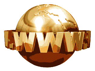 Her internet sitesine gizli kod verilecek