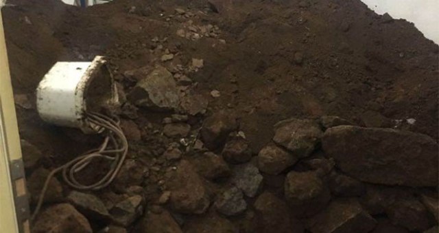 Evin ortasında şaşırtan görüntü!