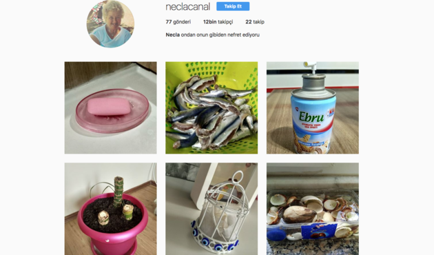 Şimdiye kadar görülen en iyi Instagram hesabı!