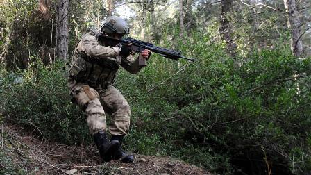 Arananlar listesindeki 2 terörist Amanos'ta etkisiz hale getirildi