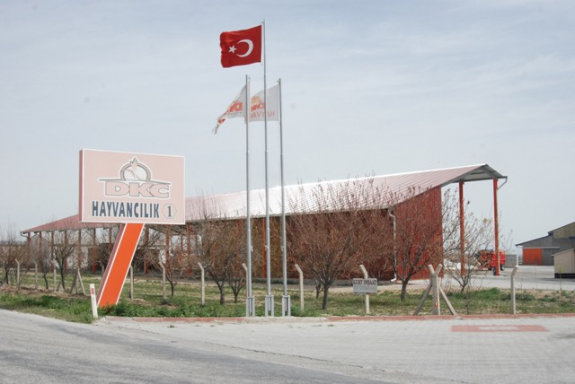 Sütbank'ta telef olduğu ileri sürülen büyükbaşlar araştırılıyor