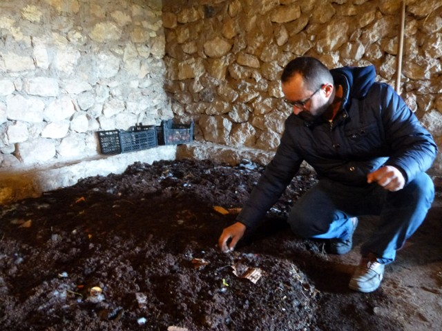 Solucan üretimi göründüğü gibi kolay değil