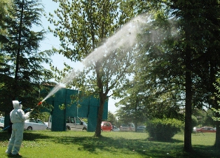 Parklar ve ağaçlar ilaçlanıyor