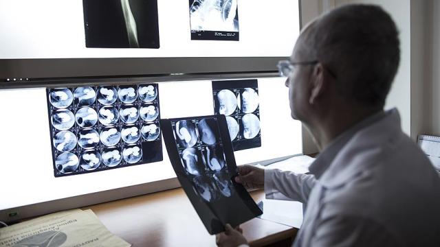 Doktorlara hem kamu hem de üniversitede çalışma yolu