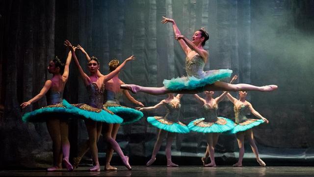 'Don Kişot' balesi Zorlu PSM'de sahnelenecek