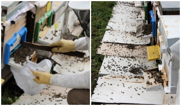 Çamur sağanağından sonra şok ölümler! / VİDEO