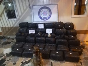 Mardin'de 722 kilogram esrar ele geçirildi