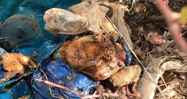 Hakkari kırsalında silah ve mühimmat ele geçirildi