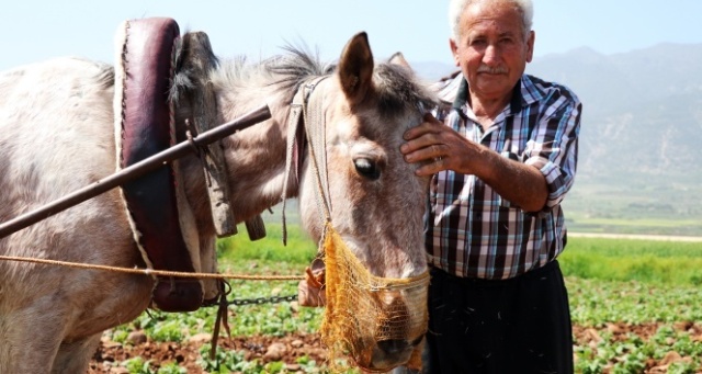 Günlük 150 lira yevmiyeyle işsizliğe meydan okuyorlar