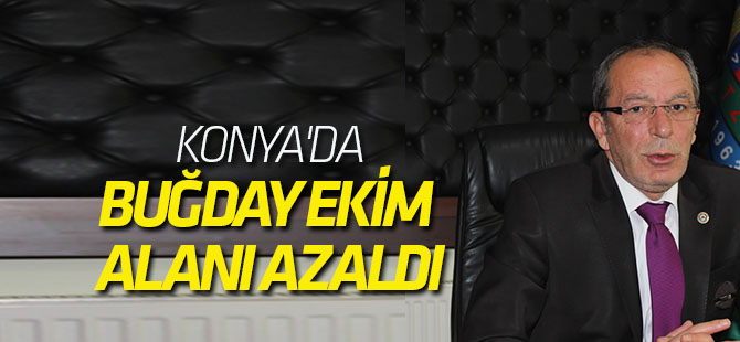 Türkiye'nin Tahıl Ambarı Konya'da, Buğday Ekim Alanı Azaldı