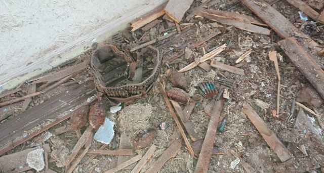 Metruk bir binada tavan arasına gizlenmiş patlamamış el bombaları bulundu