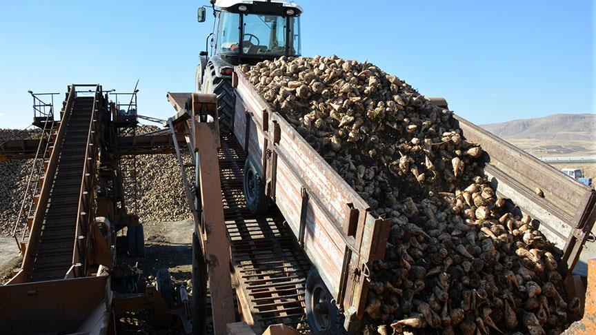 Bor ve Kırşehir şeker fabrikalarının özelleştirilmesi ihalesi yapıldı