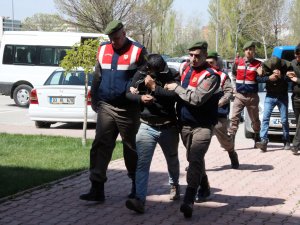 Büyükbaş hayvan hırsızlığı şüphelileri adliyede