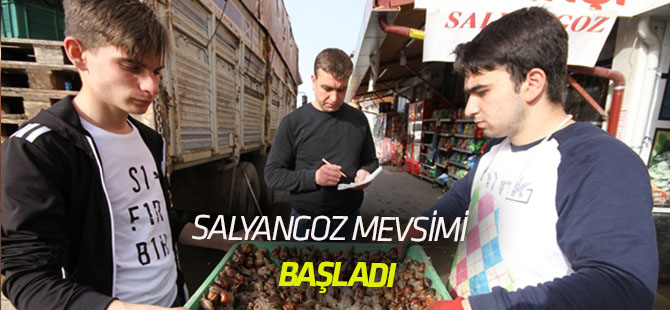Konya'da salyangoz sezonu açıldı