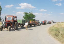 TMO’dan günlük bin 600 ton hub