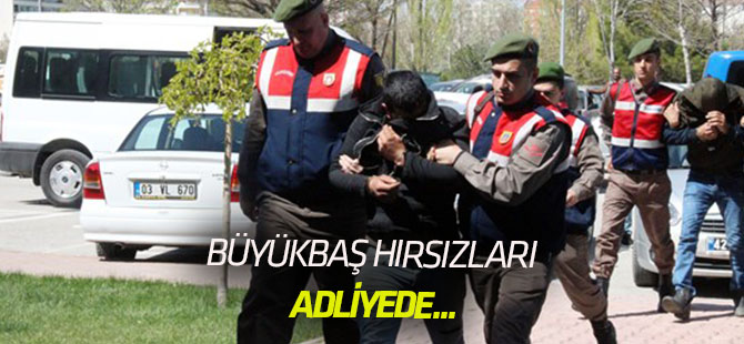 Büyükbaş hayvan hırsızlığı şüphelileri adliyede