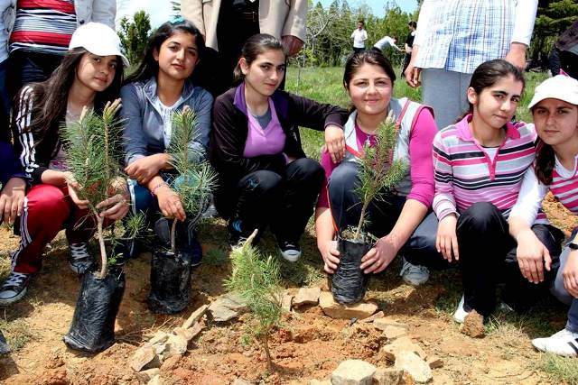 Öğrenciler fidan dikti