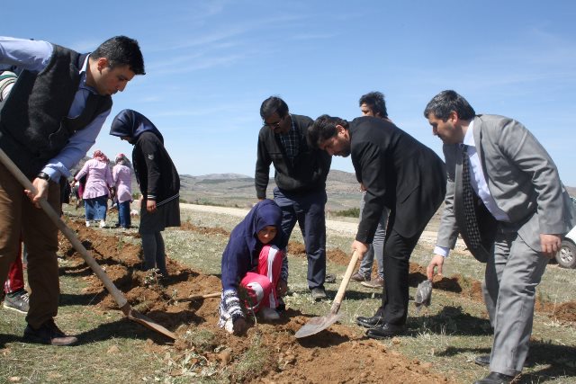 Derbent'te ağaçlanıyor