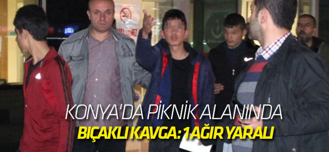 Konya'da Piknik Alanında Bıçaklı Kavga: 1 Ağır Yaralı