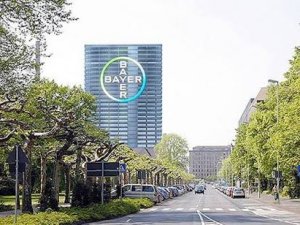 "ABD, Bayer'in Monsanto'yu almasına izin verecek" iddiası