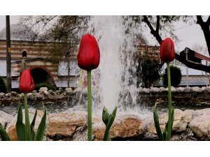 Edirne'de "lale devri"