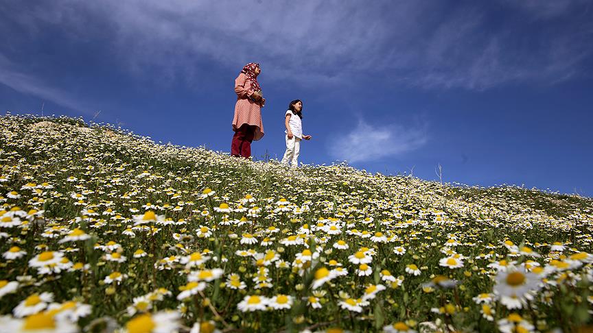 Hava sıcaklıkları mevsim normalleri üzerinde seyredecek