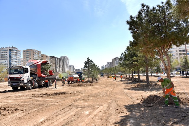 Köprülü Kavşak çalışmalarından ağaçlar naklediliyor