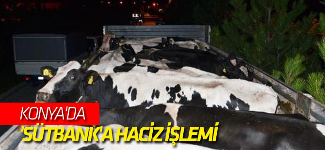 Konya'da 'Sütbank'a Haciz İşlemi